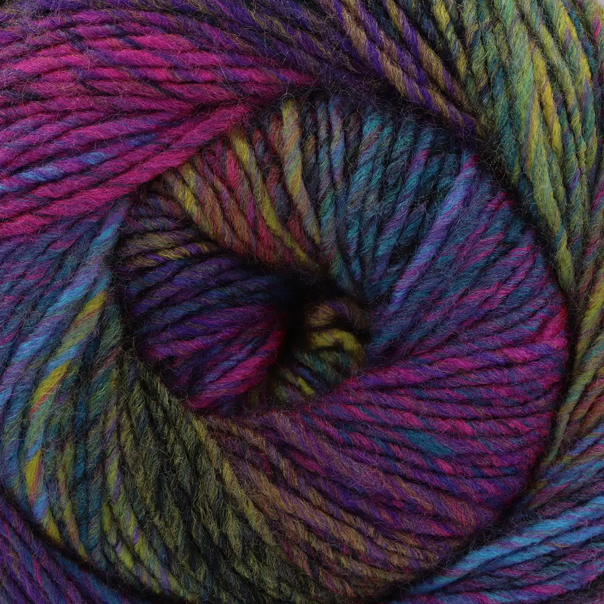 6653 - Daylight Delight