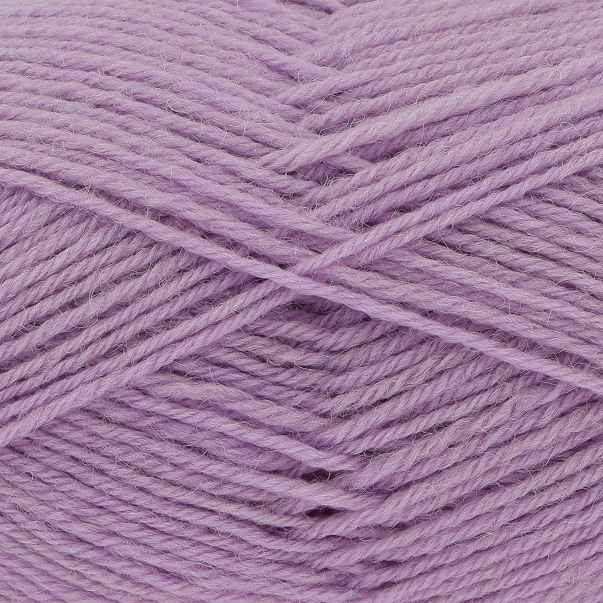 3952 - Crocus